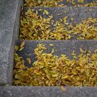 Fall on the Stairs