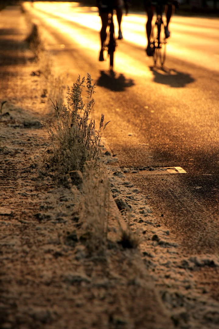 Fall-out-zone-Rotterdammer-str. 2