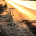 Fall-out-zone-Rotterdammer-str.