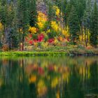 Fall Reflections