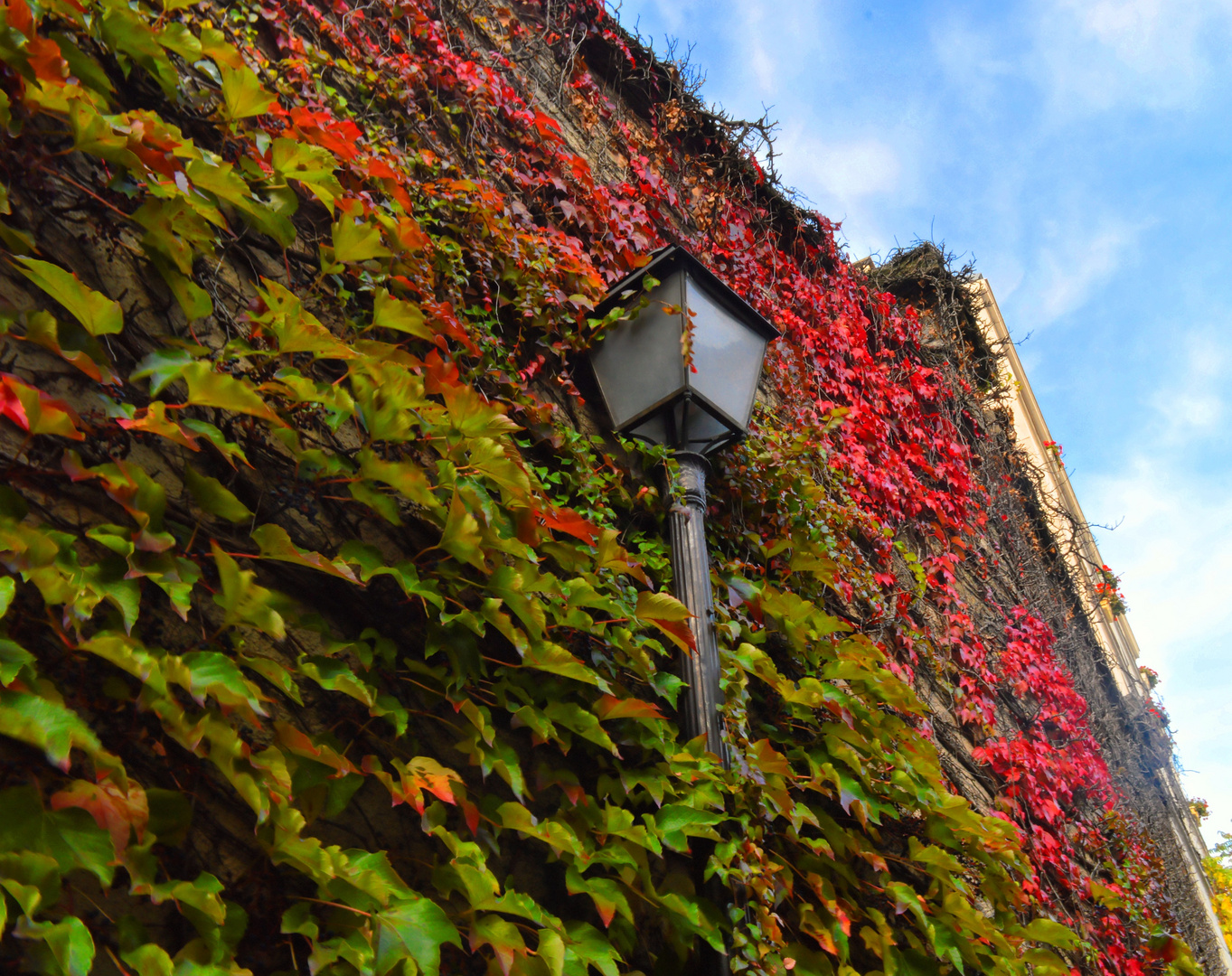 Fall wall