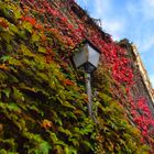 Fall wall