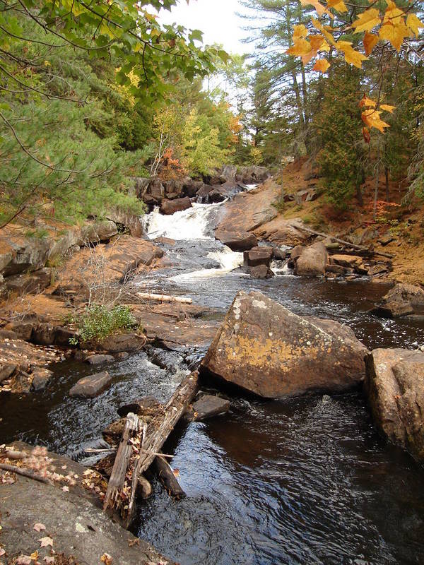 Fall Waterfall