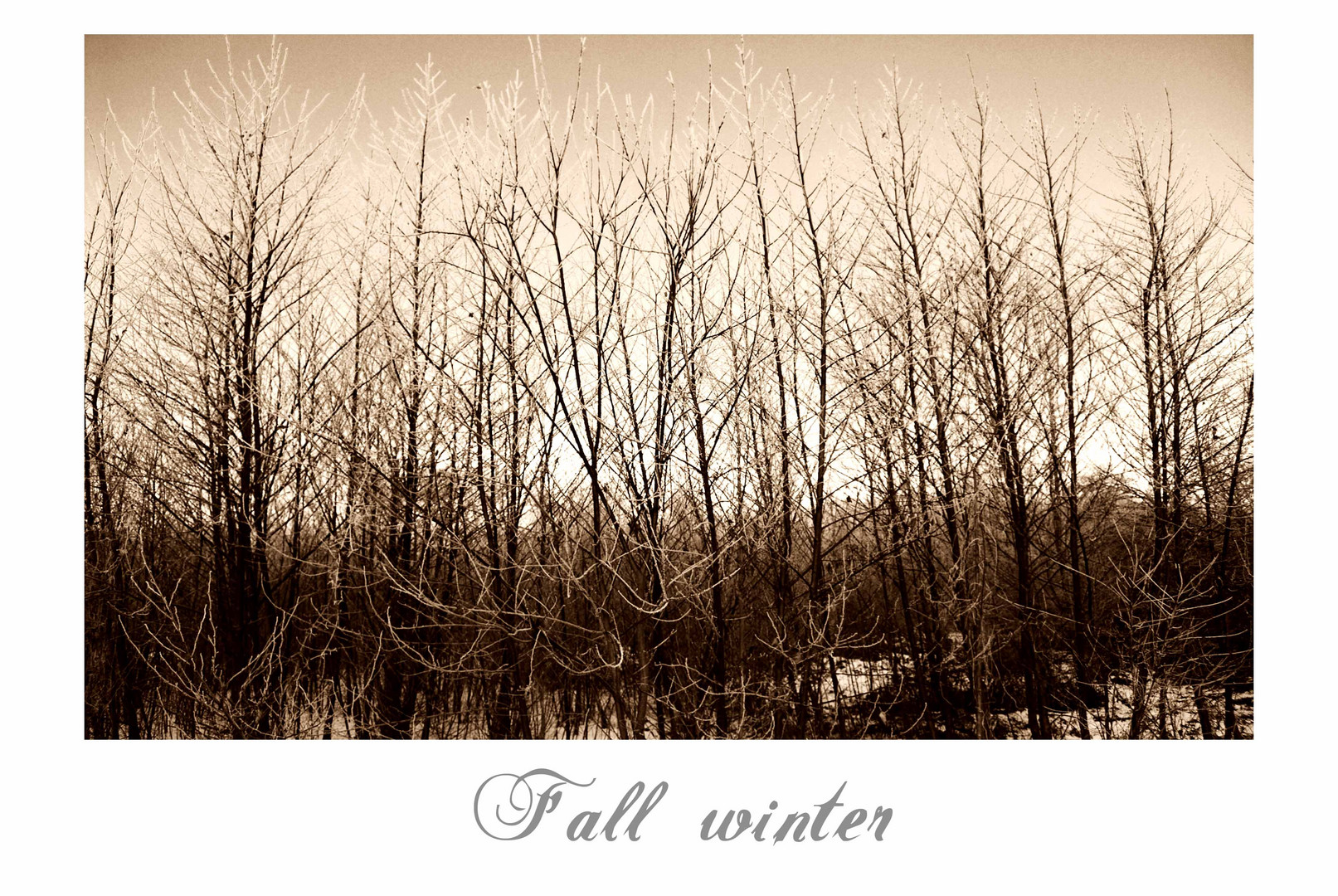 Fall winter