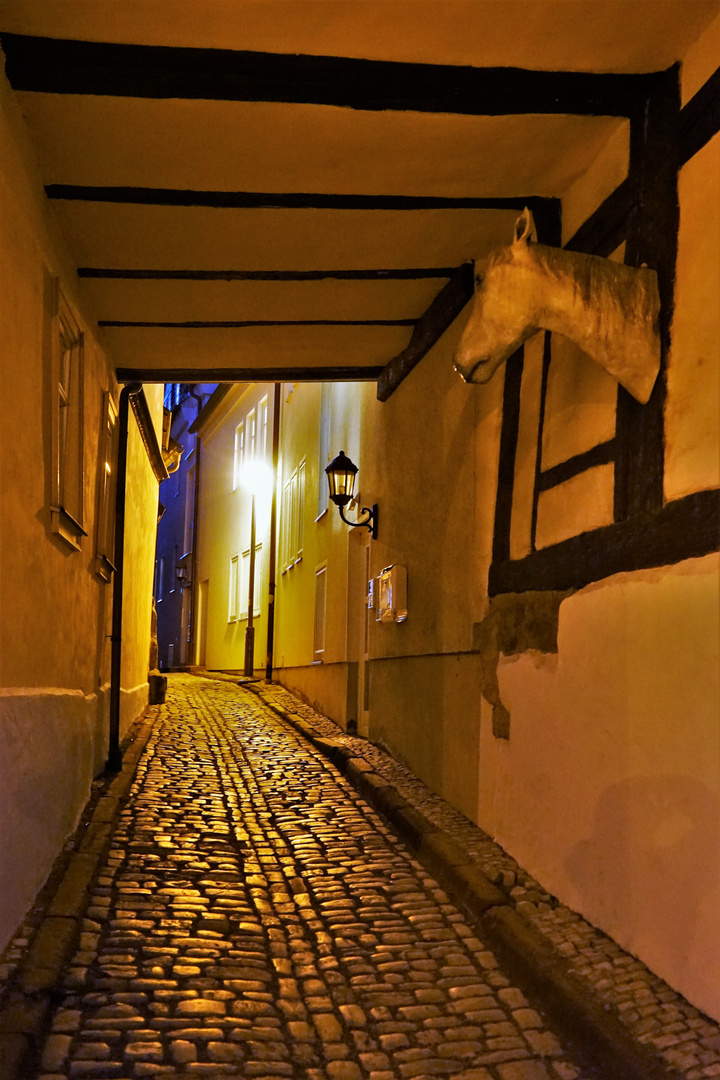 Fallada Foto & Bild thüringen, gasse, pferd Bilder auf