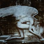 fallen Angel...