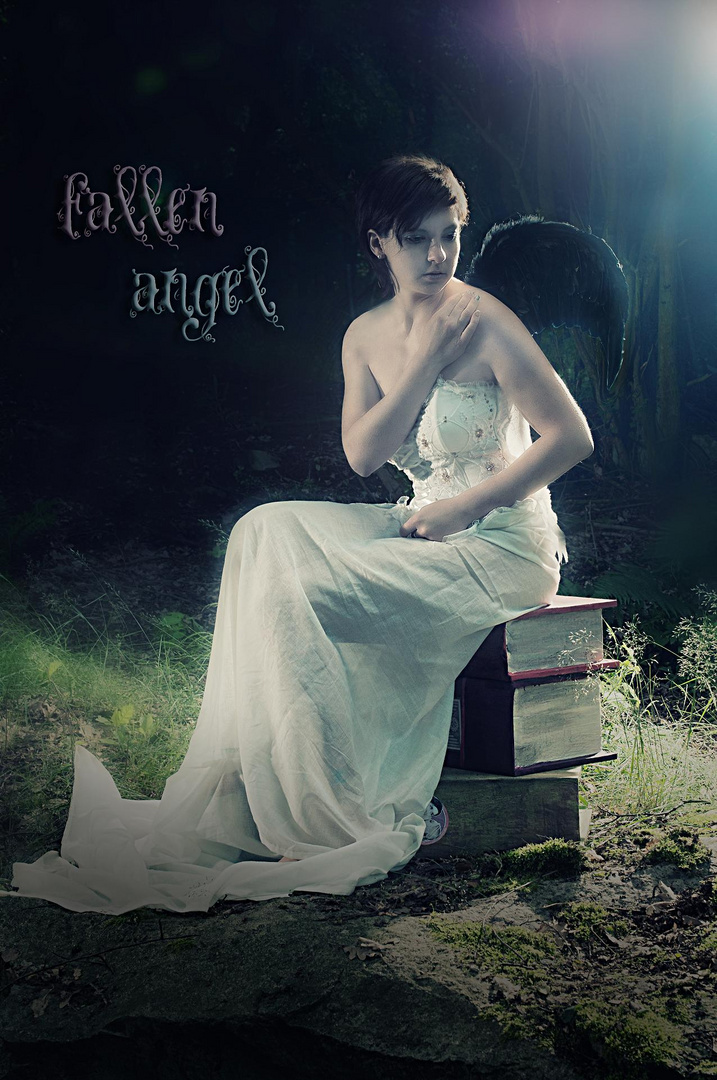 ~fallen angel~