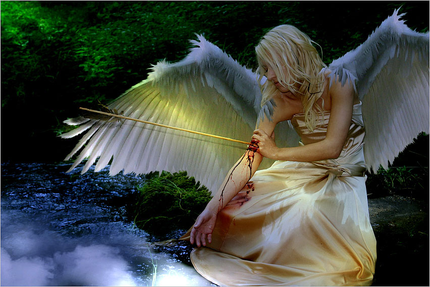 ...fallen angel