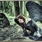 Fallen Angel