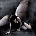 Fallen Angel