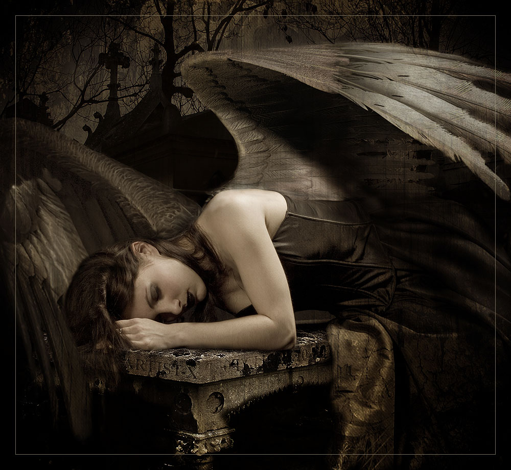 Fallen Angel