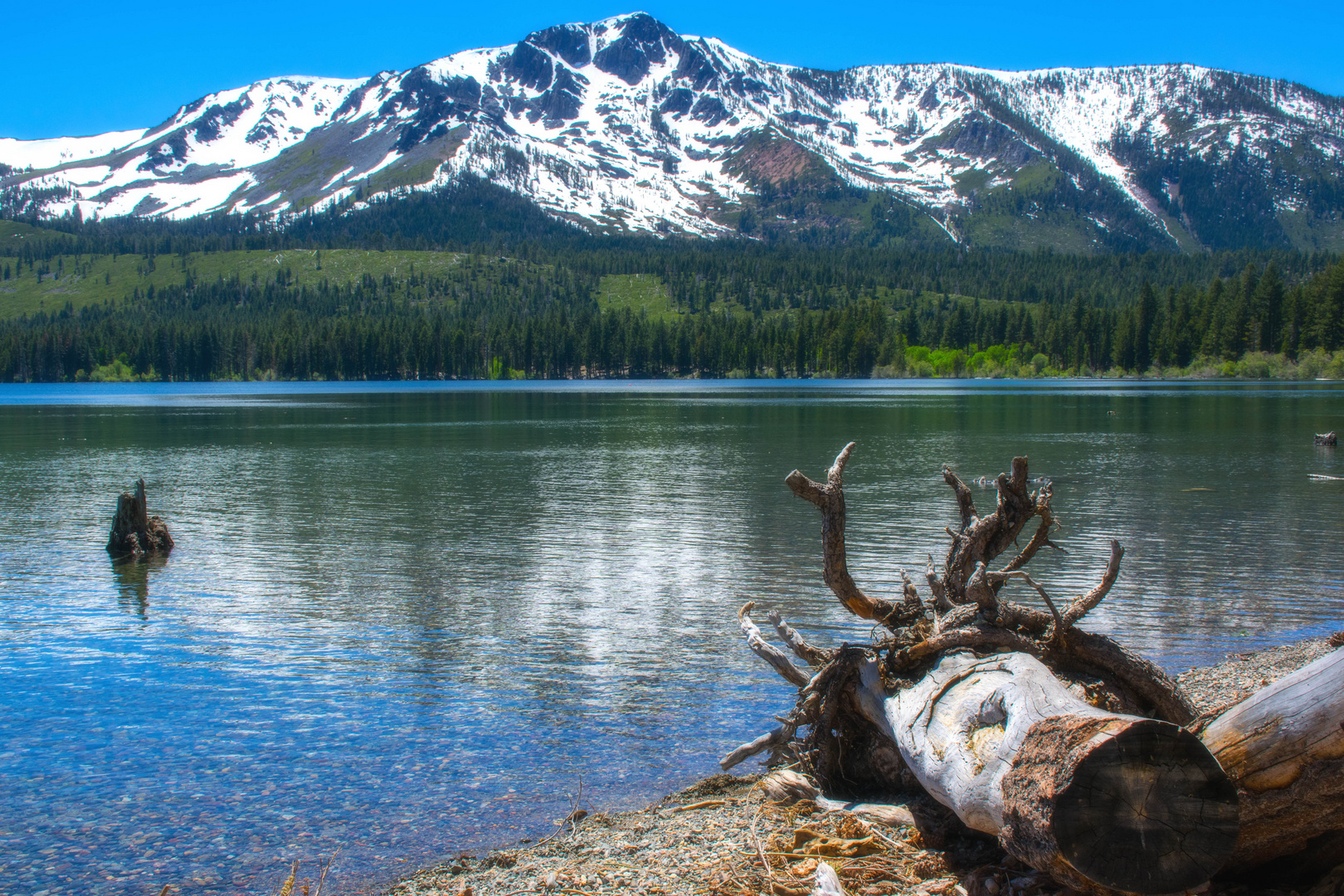 Fallen Leaf Lake