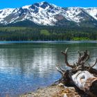 Fallen Leaf Lake