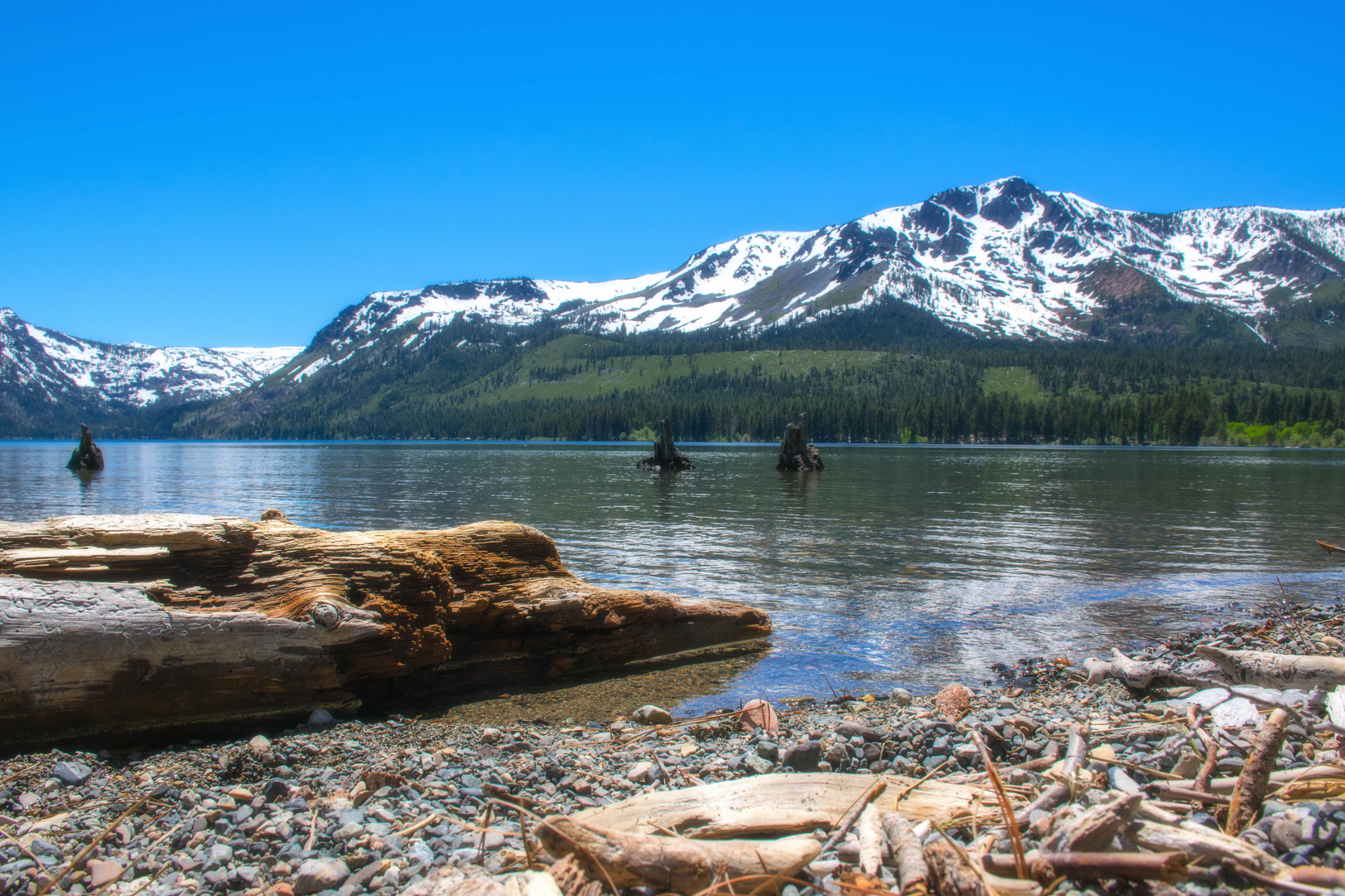 Fallen Leaf Lake