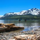 Fallen Leaf Lake