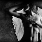 ***FallenAngel***