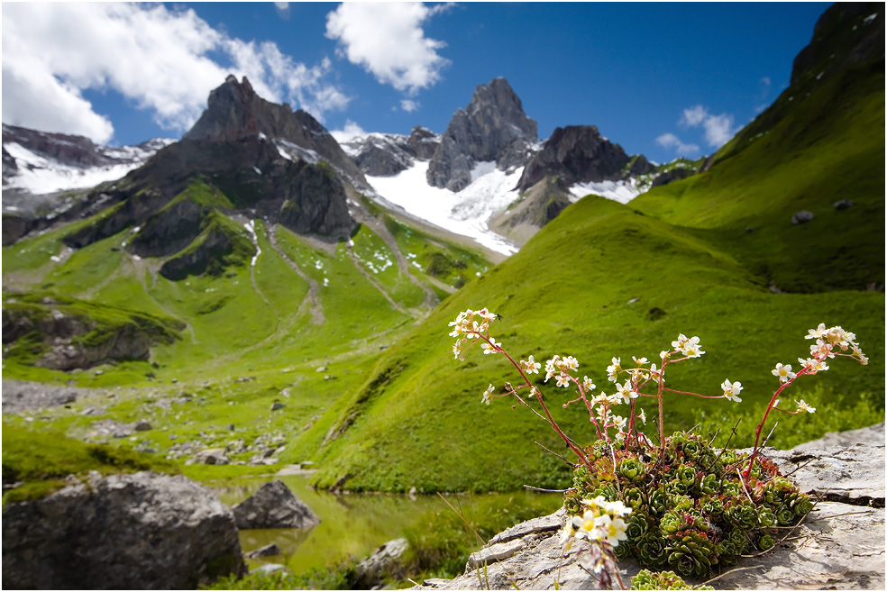 fallenbacher see