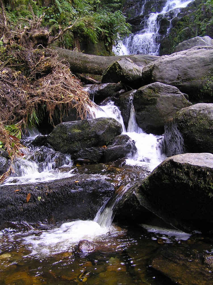 fallendes Wasser