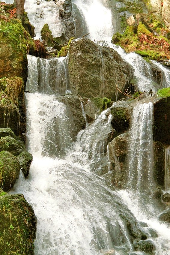 fallendes Wasser im Wald ;o)