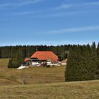 Fallengrund im Schwarzwald