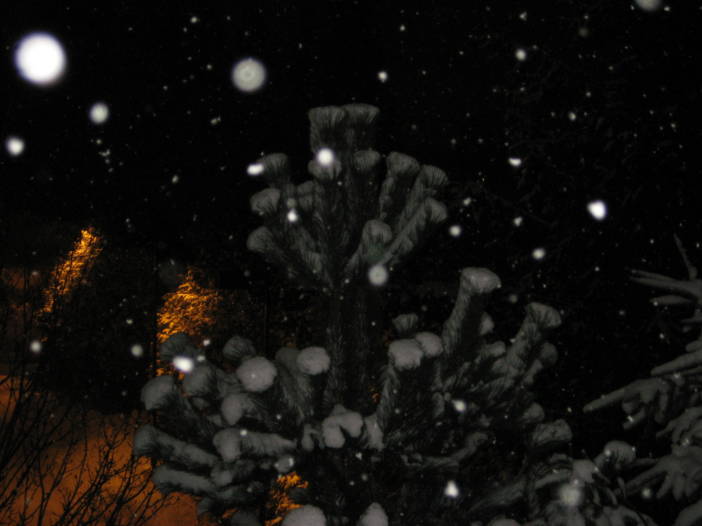 Falling Snow .