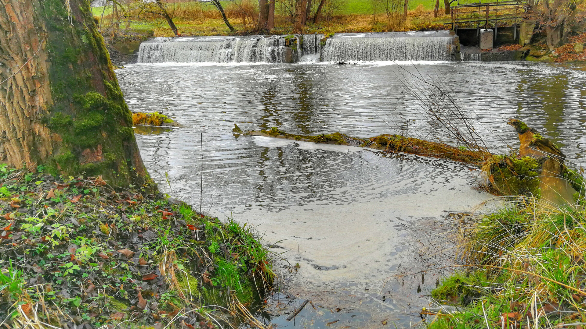 Falling Water