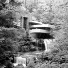 Falling Water