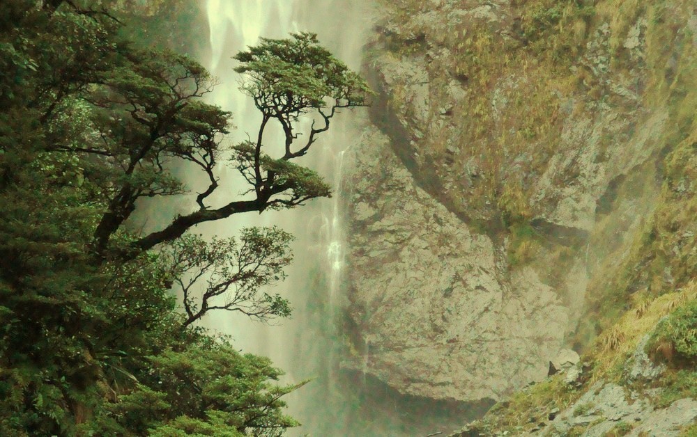 falling water nz