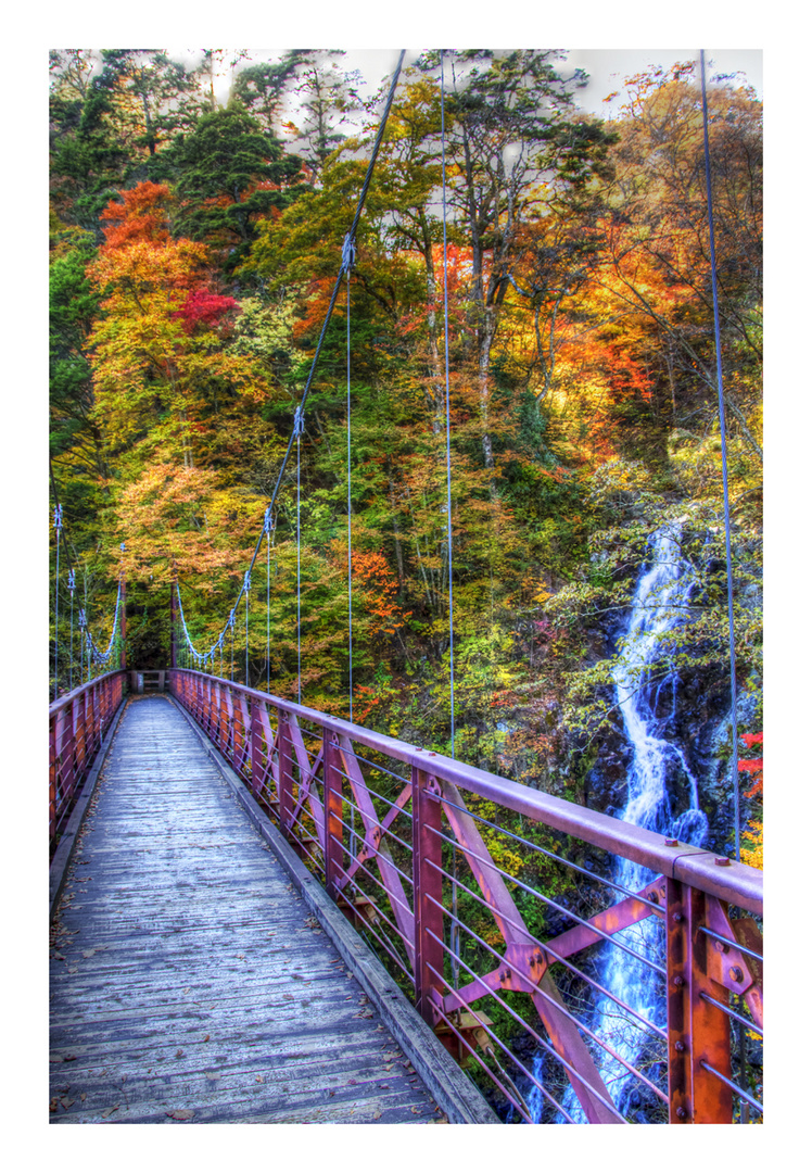 Falls can be seen from the bridge