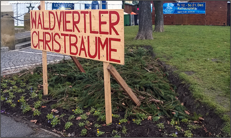 Falls ihr noch schöne Christbäume braucht, ...