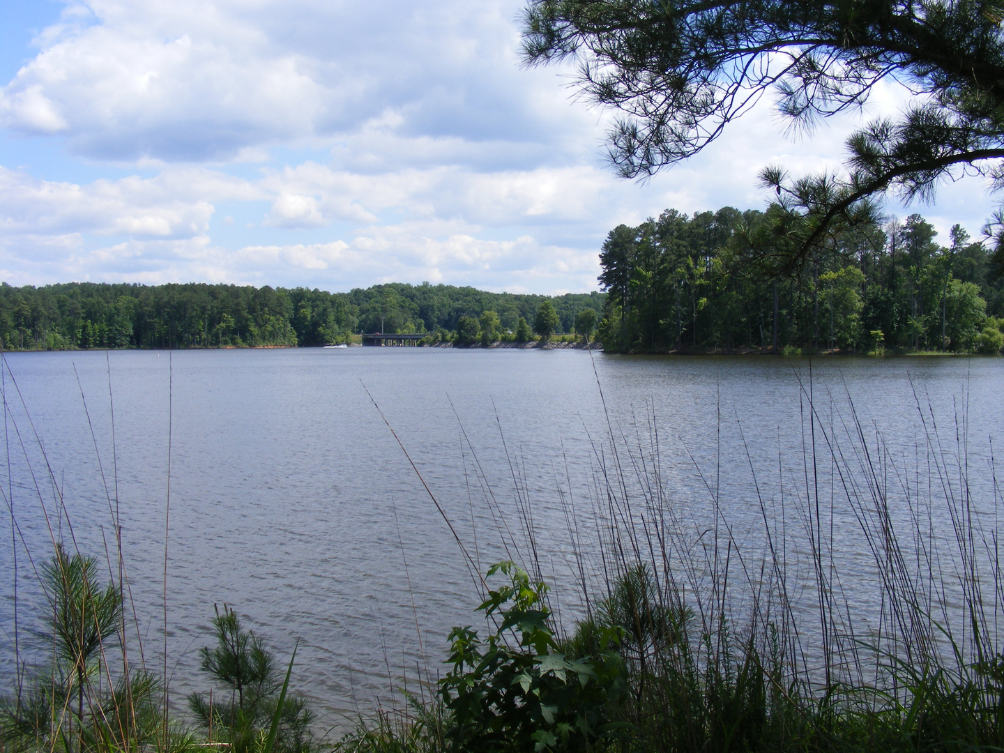 Falls Lake North Carolina