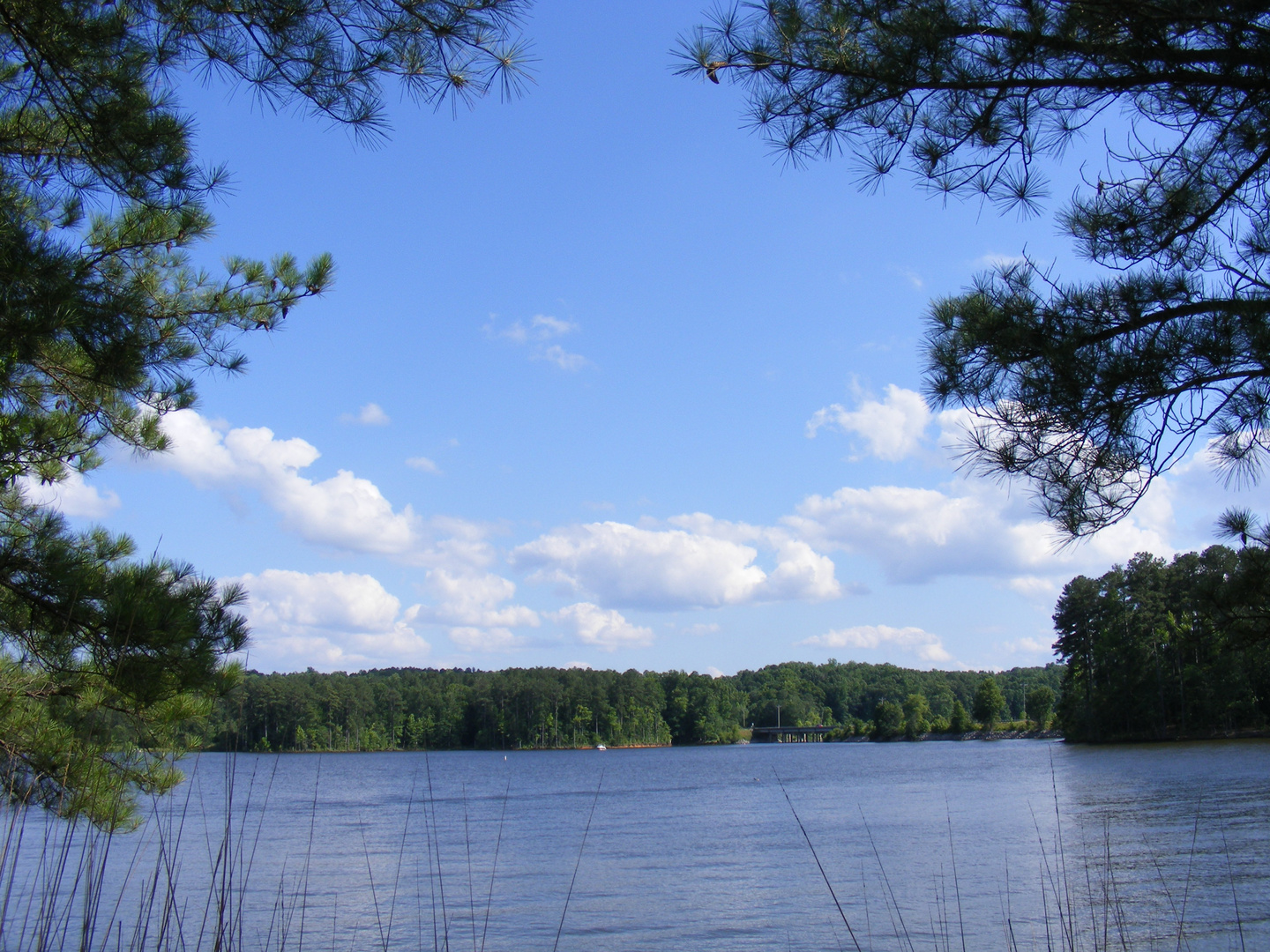 Falls Lake North Carolina