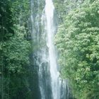 Falls on the road to Hana