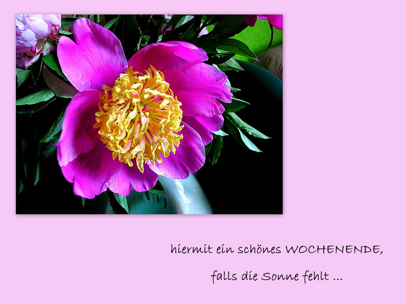 rar machen