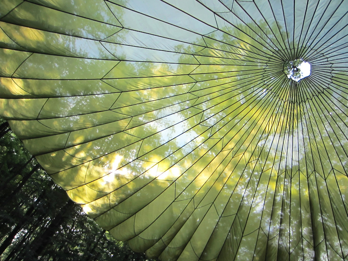 FALLSCHIRM IM WALD