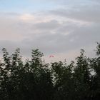 Fallschirmspringer über den Bäumen