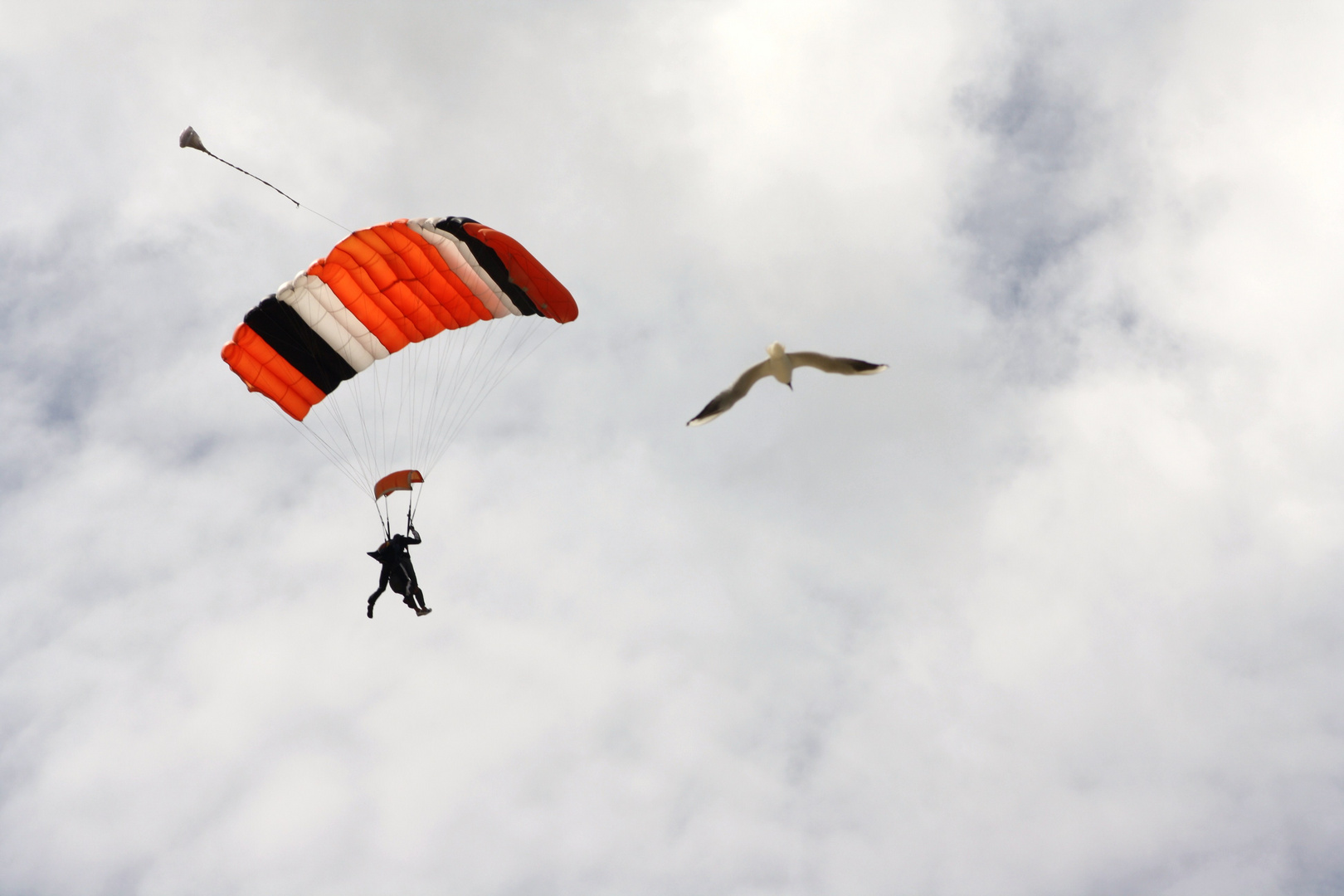 Fallschirmspringer und Möwe Duhner Wattrennen