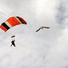 Fallschirmspringer und Möwe Duhner Wattrennen