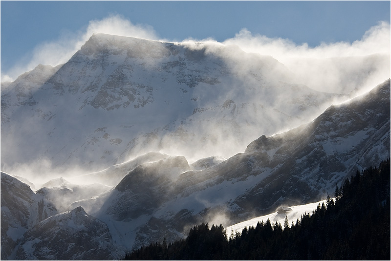 fallwindend gepeitscht