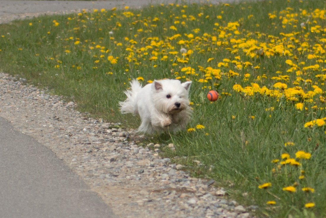 falsch abgebogen