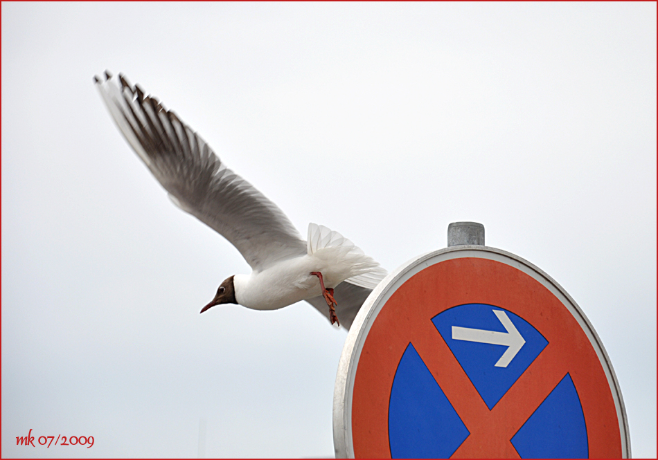 falsch geparkt?