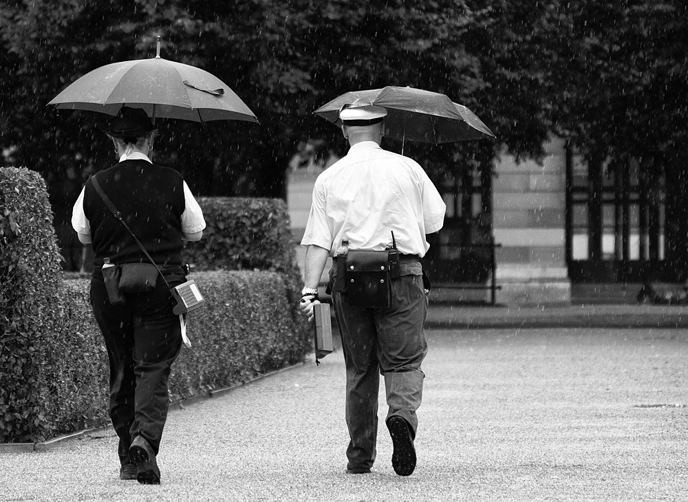 Falsch-Parkwächter im Regen