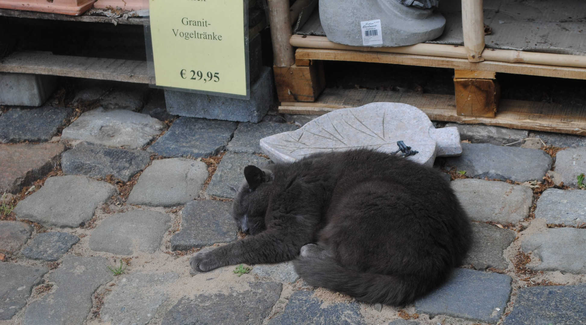 Falsch verstanden