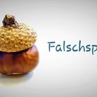 Falschspieler