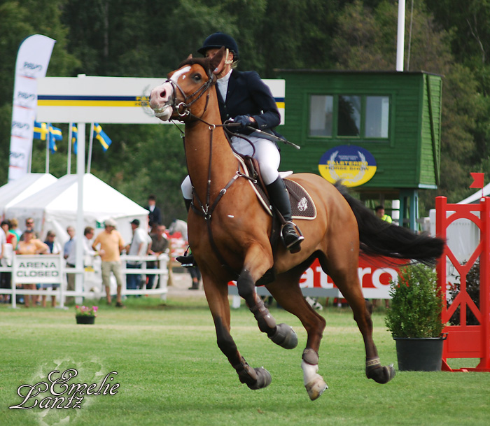 Falsterbo Horse Show