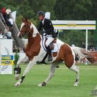 Falsterbo Horse Show