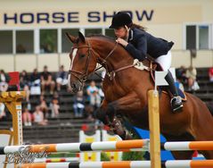 Falsterbo Horse Show