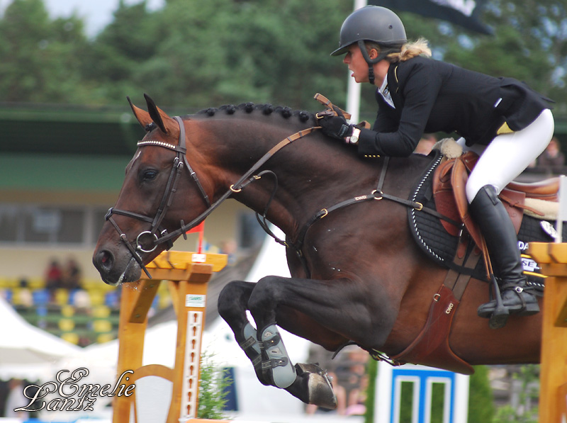 Falsterbo Horse Show