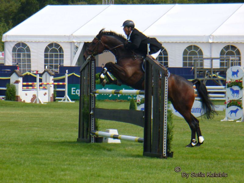 Falsterbo horse show