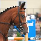 Falsterbo Horse Show